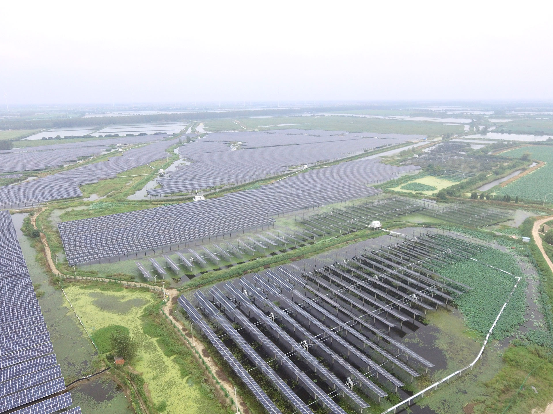 pa电子科技江苏扬州宝应光伏发电应用领跑基地2号100兆瓦项目